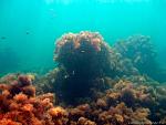     
: 6c49dc2f7518.jpg
: 62
:	133.1 
ID:	2597067