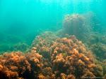     
: a628b88fbcb5.jpg
: 59
:	84.6 
ID:	2597068