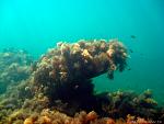     
: 04f99e24bce4.jpg
: 60
:	118.9 
ID:	2597071