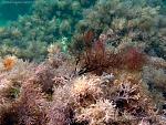     
: 1ce9759ac0d5.jpg
: 53
:	129.9 
ID:	2597072