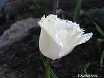     
: IMG_3128.JPG
: 11
:	172.6 
ID:	2597514
