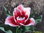     
: IMG_3122.JPG
: 11
:	267.4 
ID:	2597516
