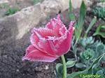     
: IMG_3138.JPG
: 12
:	233.6 
ID:	2597518