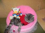     
: DSCN1474.jpg
: 23
:	181.9 
ID:	2597845