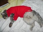     
: DSCN1468.jpg
: 24
:	106.7 
ID:	2597846