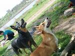     
: P4301043.jpg
: 13
:	210.9 
ID:	2598430