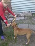     
: 24042011029.jpg
: 29
:	83.4 
ID:	2599360