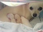     
: DSC03841.jpg
: 75
:	116.9 
ID:	2599742