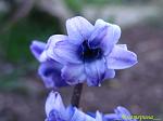     
: IMG_2942.JPG
: 9
:	278.3 
ID:	2599981