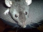     
: DSC00621.jpg
: 48
:	182.9 
ID:	2600454
