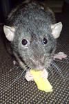     
: DSC00624.jpg
: 44
:	96.6 
ID:	2600455