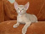     
: anton (4).jpg
: 15
:	107.0 
ID:	2600981