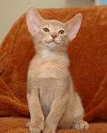     
: anton (2).jpg
: 10
:	54.0 
ID:	2600982