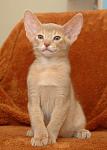     
: anton (3).jpg
: 14
:	53.1 
ID:	2600985