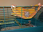     
: 010520115440.jpg
: 31
:	160.3 
ID:	2602096