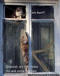     
: x_d4631393.jpg
: 14
:	99.6 
ID:	2602644