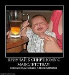     
: 497830_priuchaj-k-spirtnomu-s-maloletstva.jpg
: 48
:	55.3 
ID:	2603282