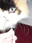     
: P1090028.jpg
: 16
:	77.2 
ID:	2605322