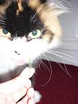     
: P1090027.jpg
: 20
:	86.6 
ID:	2605324