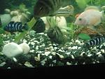     
: DSC05618.jpg
: 159
:	114.2 
ID:	2606237
