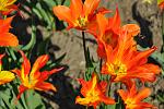     
: DSC_0038.jpg
: 13
:	115.8 
ID:	2606415