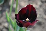     
: DSC_0052.jpg
: 13
:	59.9 
ID:	2606416