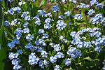     
: DSC_0048.jpg
: 15
:	185.3 
ID:	2606417