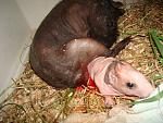     
: DSC02728.JPG
: 58
:	240.2 
ID:	2608989