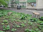     
: 2011_05030046.JPG
: 61
:	146.7 
ID:	2609319