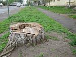     
: 2011_05030048.JPG
: 40
:	143.0 
ID:	2609323
