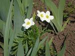     
: _var_www_temp_11_122_20_0tNlGgZDGK1A.jpg
: 12
:	81.3 
ID:	2609629