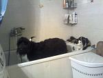     
: Фото0217.jpg
: 49
:	104.3 
ID:	2609698