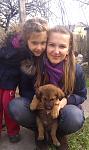     
: IMAG0793.jpg
: 128
:	100.9 
ID:	2610450