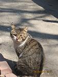     
: IMG_0057.jpg
: 26
:	132.2 
ID:	2611593