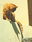     
: IMG_0451_0.jpg
: 96
:	76.4 
ID:	2613172
