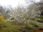     
: DSC02076.jpg
: 47
:	227.7 
ID:	2613620