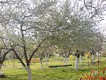    
: DSC02073.jpg
: 60
:	292.9 
ID:	2613621