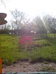     
: DSC02072.jpg
: 49
:	105.7 
ID:	2613622