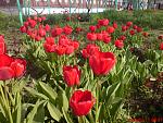     
: DSC02085.jpg
: 58
:	212.9 
ID:	2613624