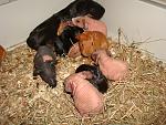     
: DSC02756.JPG
: 38
:	225.4 
ID:	2614880