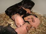     
: DSC02754.JPG
: 38
:	220.2 
ID:	2614881