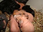     
: DSC02753.JPG
: 32
:	217.4 
ID:	2614882