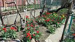     
: IMG_0495.jpg
: 24
:	215.7 
ID:	2619087