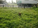     
: CIMG0982.jpg
: 31
:	176.9 
ID:	2619193