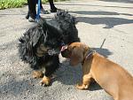     
: CIMG1026.jpg
: 35
:	126.6 
ID:	2619200