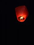     
: DSC_0058.JPG
: 25
:	26.2 
ID:	2621314