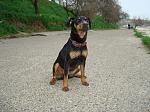     
: more1.jpg
: 29
:	247.5 
ID:	2621646