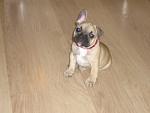     
: P1010003.jpg
: 61
:	84.3 
ID:	2623236