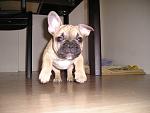     
: P1010028.jpg
: 66
:	106.9 
ID:	2623240