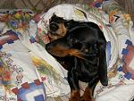     
: P4300062.jpg
: 36
:	171.3 
ID:	2623736